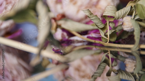 Wallpaper Mural dried flowers  Torontodigital.ca