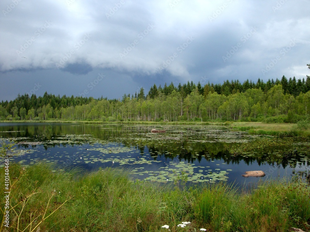 Obraz premium lake in the forest, south Sweden shortly before thunderstorm