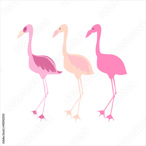 Set of pink flamingos doodle vector. Cartoon hand-drawn stock illustration. Isolated on white background.