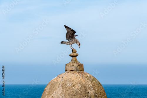 Seagull Just Landed On The Top Of A Watchtower, Sqala du Port, Essaouira, Morocco. photo