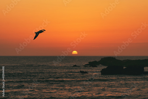 A Lonely Seagull, The Half-Set Sun And Ruins In The Sea, Essaouira, Morocco. © Xiahou