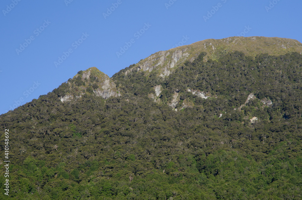 Mountain in Fiordland National Park. Southland. South Island. New Zealand.