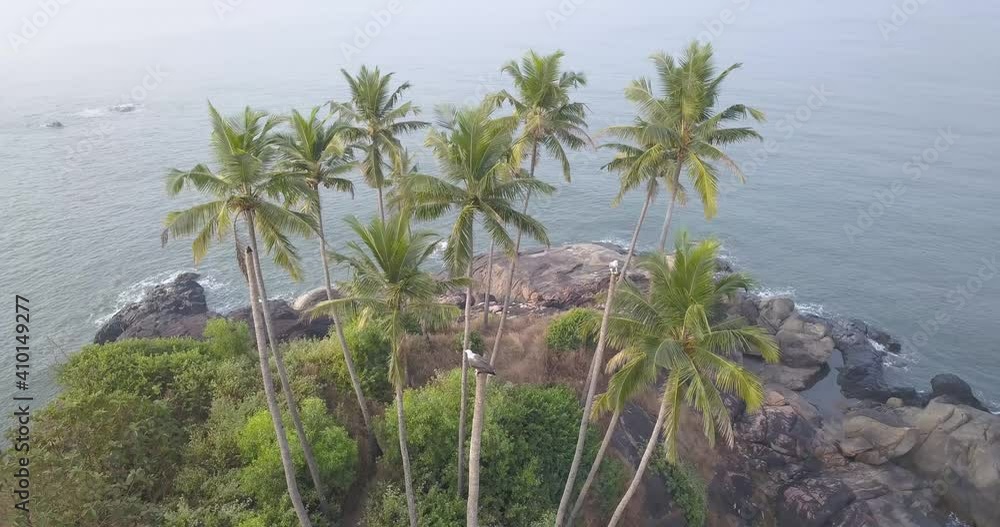 White-bellied Sea Eagle On Coconut Tree In Rocky Hill Top At Early Morning With Calm Ocean Near Palolem Beach, Canacona, South Goa, India. - aerial White-bellied Sea Eagle On Coconut Tree In Rocky Hill Top At Early Morning With Calm Ocean Near Palolem Beach, Canacona, South Goa, India. - aerial