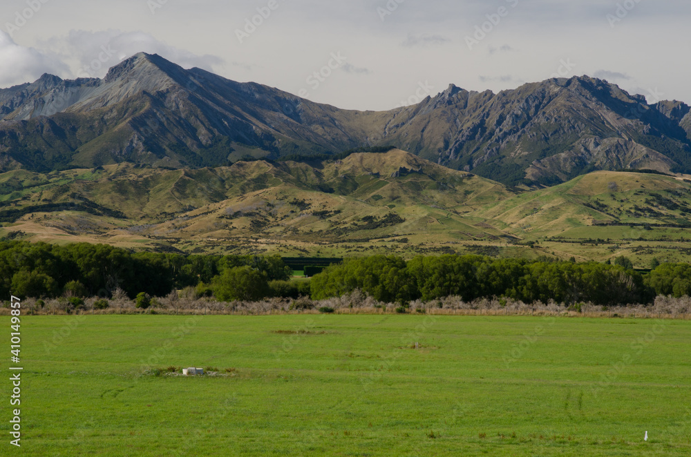 Meadow and mountains in Southland. South Island. New Zealand.