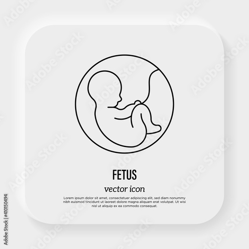 Development of fetus in uterine. Gynecology, reproductive. Thin line icon. Vector illustration.