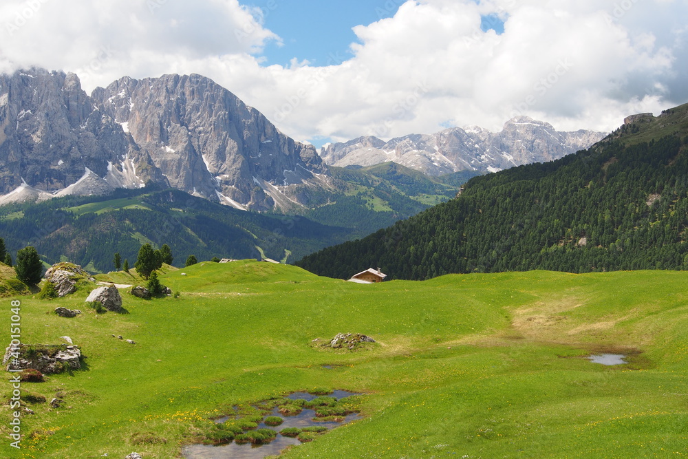 Subalpine Region mit blühenden Matten in den Dolomiten, Seiser Alm, Südtirol, Italien