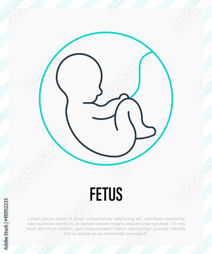 Development of fetus in uterine. Gynecology, reproductive. Thin line icon. Vector illustration.