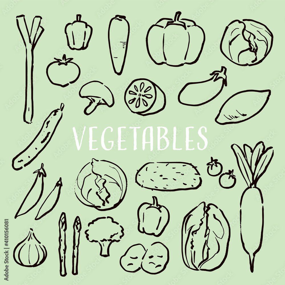 手描きの筆の親しみやすいタッチの野菜のイラスト Stock Vector Adobe Stock 手描きの筆の親しみやすいタッチの野菜のイラスト Stock Vector Adobe Stock