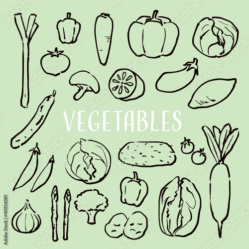 手描きの筆の親しみやすいタッチの野菜のイラスト