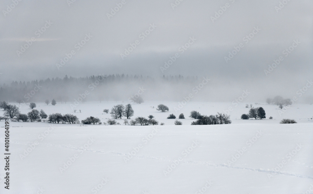 schneebedeckte Landschaft im Nebel