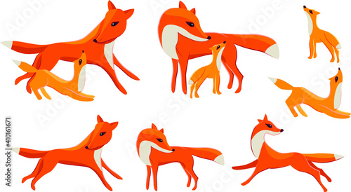 Set with different cute red foxes