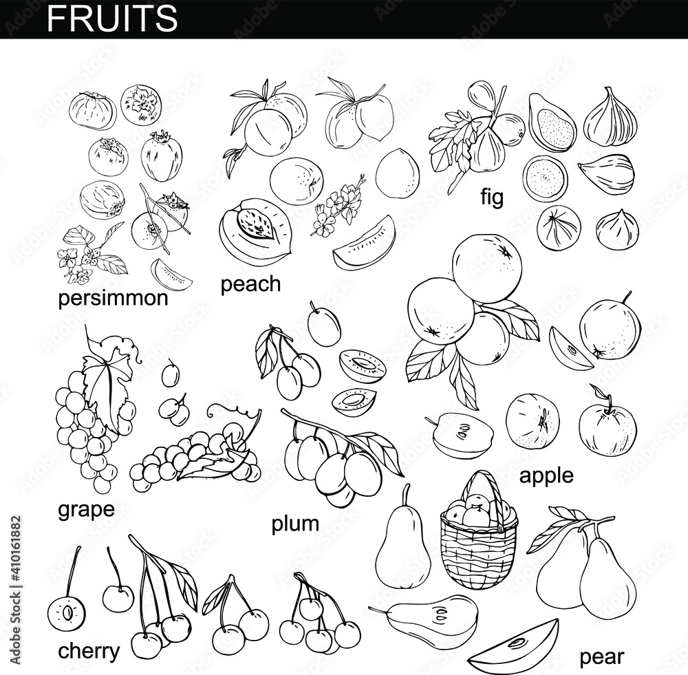 Collection of different fresh season fruits on white Collection of different fresh season fruits on white