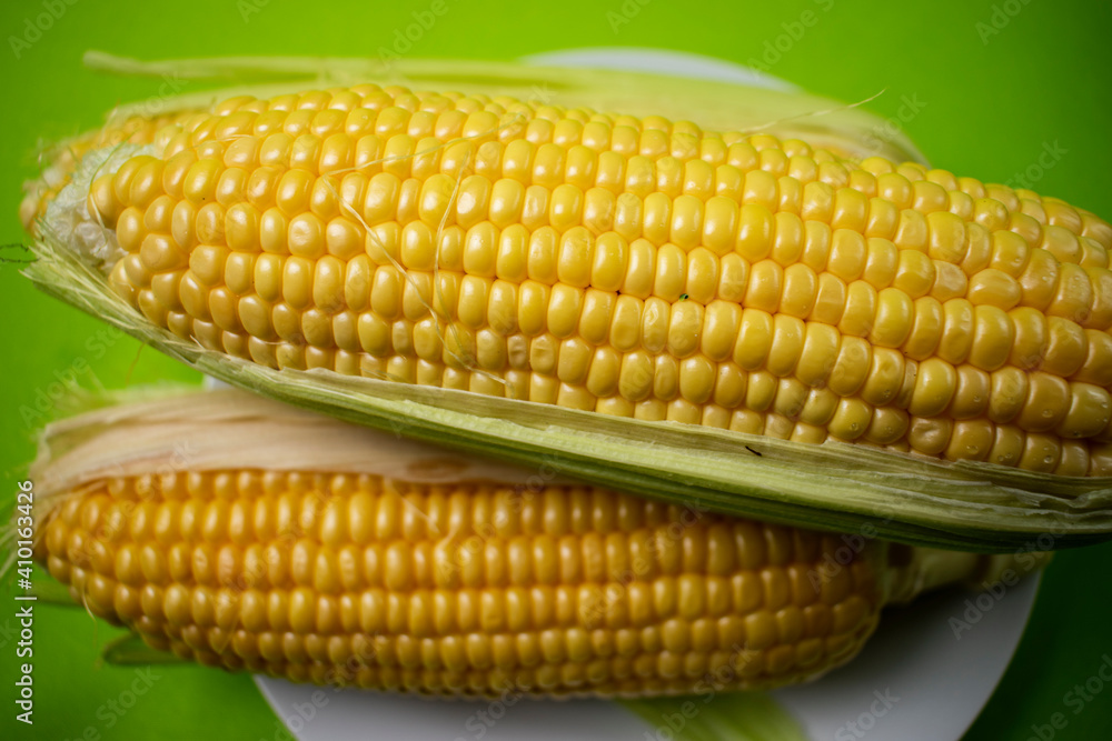 yellow corn on white plate on green background yellow corn on white plate on green background