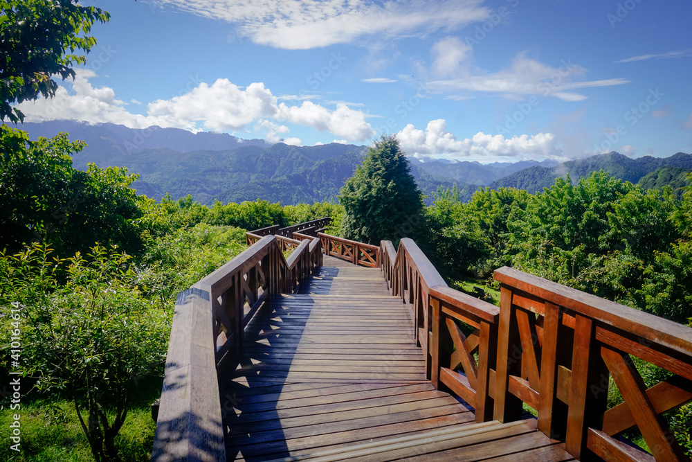 Fototapeta premium Walking path in Alishan Natural Park