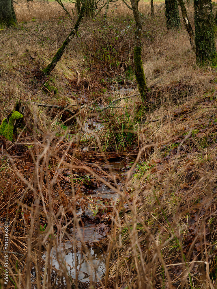 A winter picture of a small stram of water in the forest. Picture from Scania county, Sweden A winter picture of a small stram of water in the forest. Picture from Scania county, Sweden