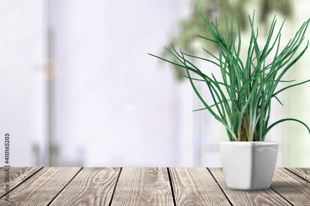 Plants. Plants.