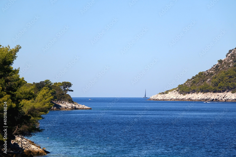 Pine trees growing on the shore. Beautiful Mediterranean landscape on island Lastovo, Croatia.