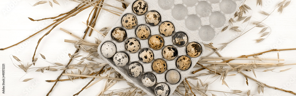 Fresh quail eggs in a cardboard container with natural decoration, top view. Abstract food natural background, banner. Fresh quail eggs in a cardboard container with natural decoration, top view. Abstract food natural background, banner.