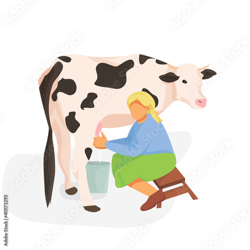 woman milks a cow on a white background. breeding cows. milking a cow. cow farming.  vector flat. isolated.