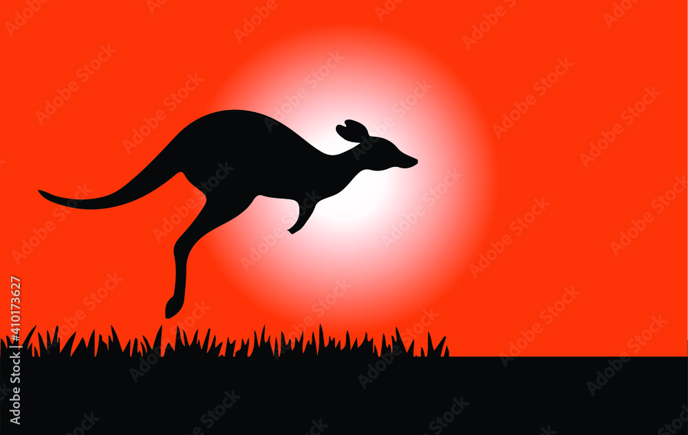 kangaroo vector illustration isolated on background kangaroo vector illustration isolated on background