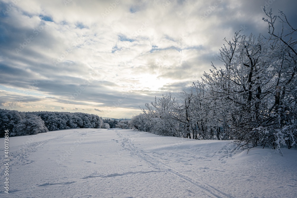 winter landscape with snow covered trees winter landscape with snow covered trees