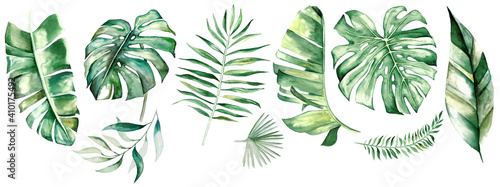 Watercolor tropical leaves illustration