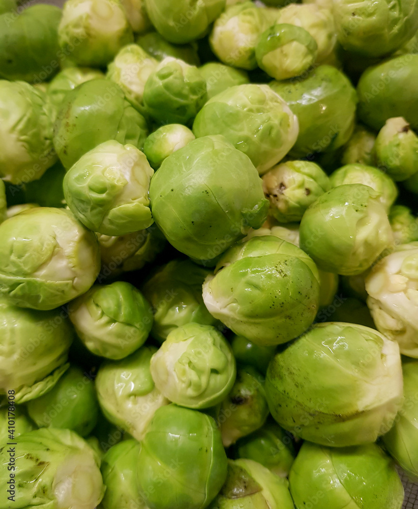 Fototapeta premium Rosenkohl