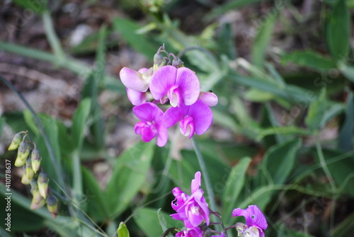 Wallpaper Mural amazing nature background Torontodigital.ca