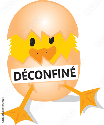 POUSSIN 2 DECONFINE DANS COQUILLE D'OEUF