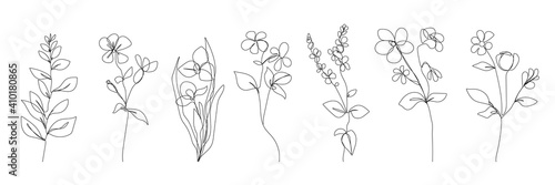 Fototapeta Naklejka Na Ścianę i Meble -  Continuous Line Drawing Set Of Plants Black Sketch of Flowers Isolated on White Background. Leaves and Flowers One Line Illustration. Vector EPS 10.