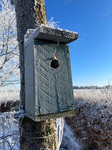 birdhouse on a tree