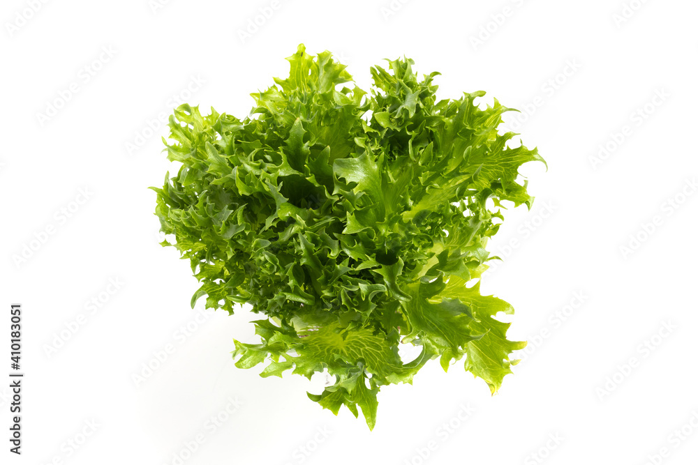 iceberg lettuce on white background. The view from the top, iceberg lettuce on white background. The view from the top,