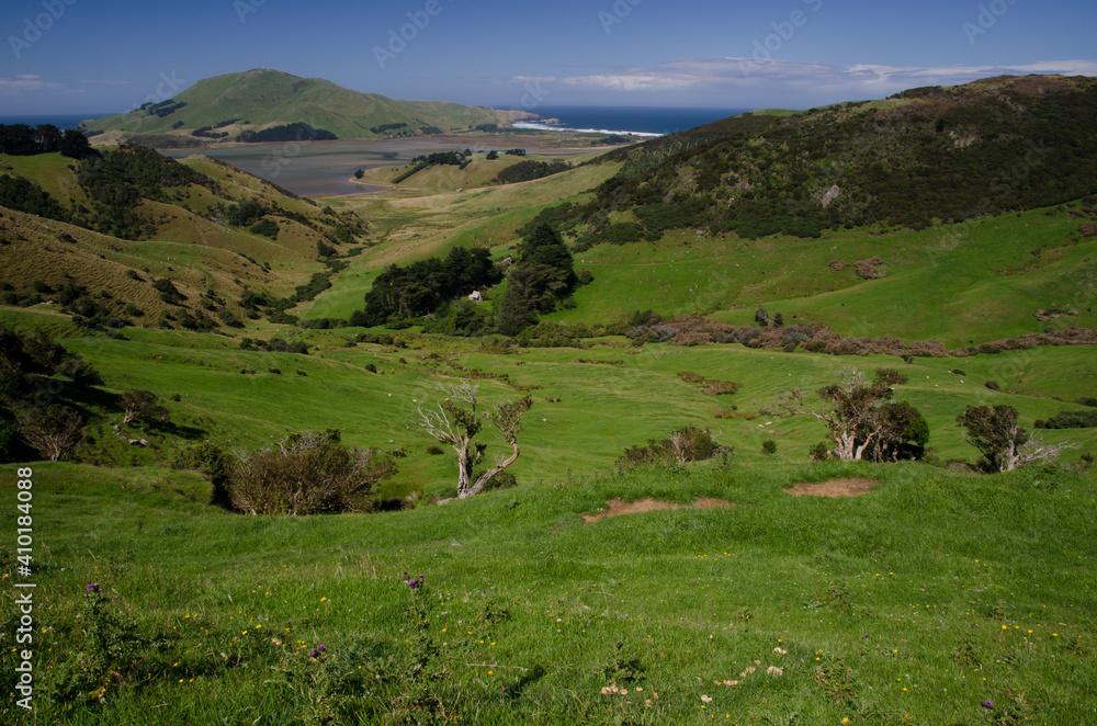 Landscape in Otago Peninsula. Otago. South Island. New Zealand.