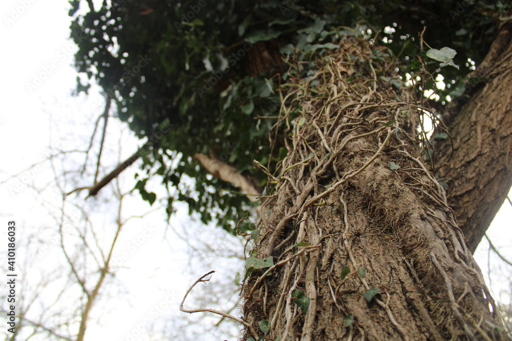 nature nature