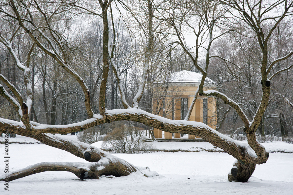 City park in the winter season.
