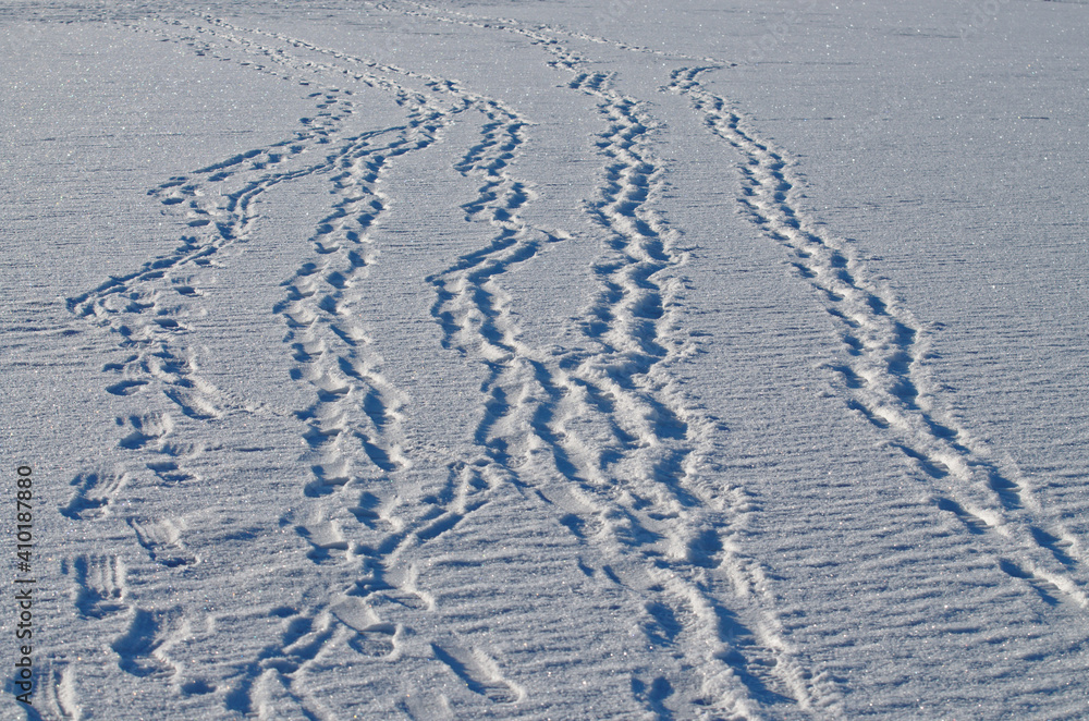 Shoe marks in the snow.