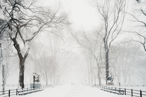 Central Park snow. Historic architecture in New York City Central Park. Beautiful bow bridge in Manhattan Central Park with snow flakes. Winter in NYC. Blizzard in New York City. 