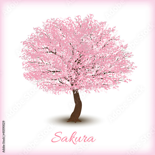 Elegant template with Japanese blooming sakura tree on white background. Ideal for your design, postcard, invitation, greeting, banner, card or other creative ideas. Vector illustration for eps 10.