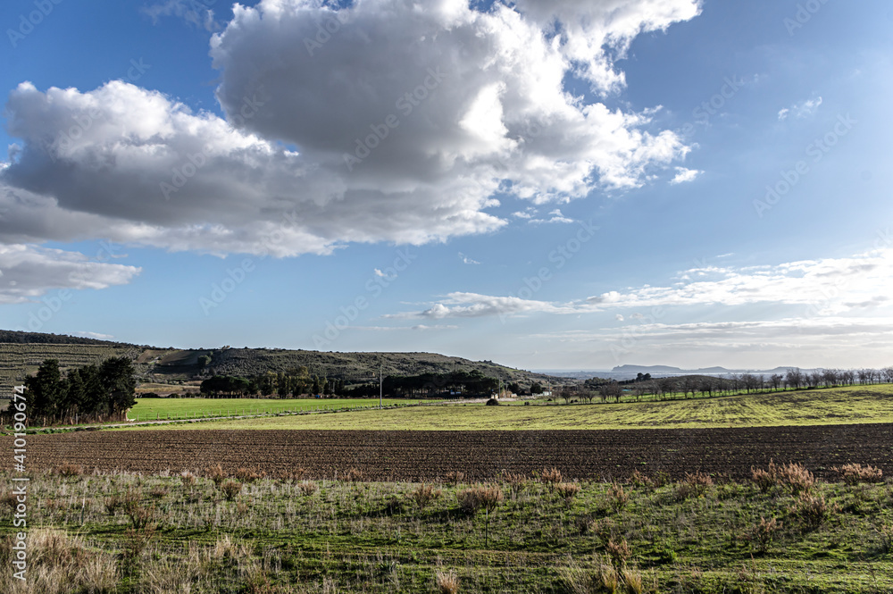 Fototapeta premium Photo by Pasaggio della Campagna della Sardegna, with Trees and Spontaneous Vegetation in a Rural Scenario, Panoramic View