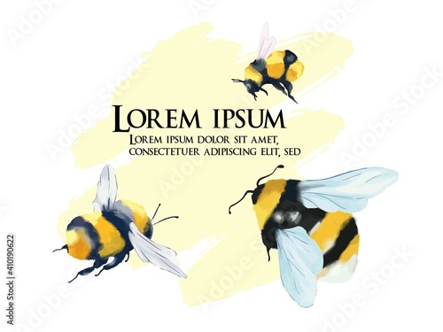 Bumblebee in flight, vector color drawing, vector drawing of a bee in watercolor, for flyer