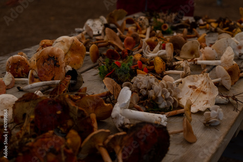 bunch of mushrooms on a wooden table
