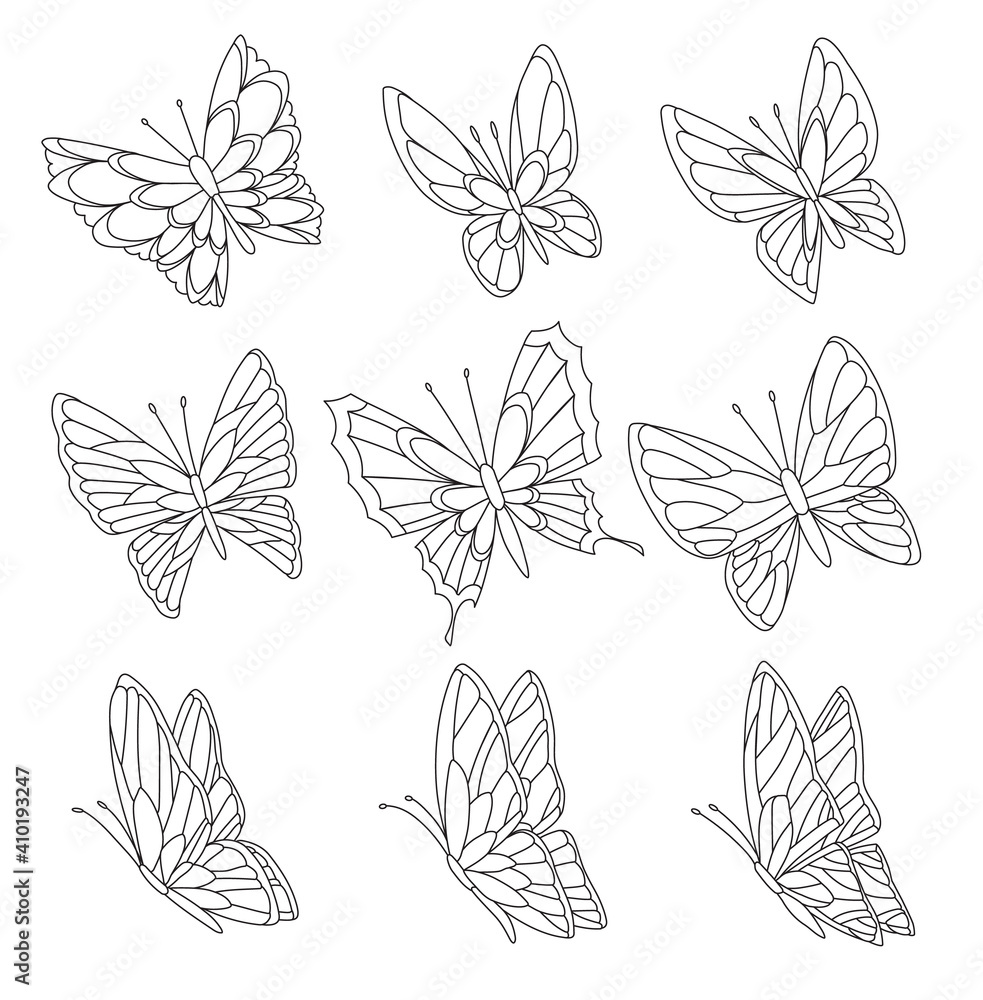 Coloring book page of butterflies isolated on white background. Pretty butterfly set with spring palette for child.