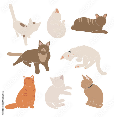 Fototapeta Naklejka Na Ścianę i Meble -  Abstract cats vector set, boho cute animal isolated, adorable cat for print, minimalist graphic elements, vector illustration