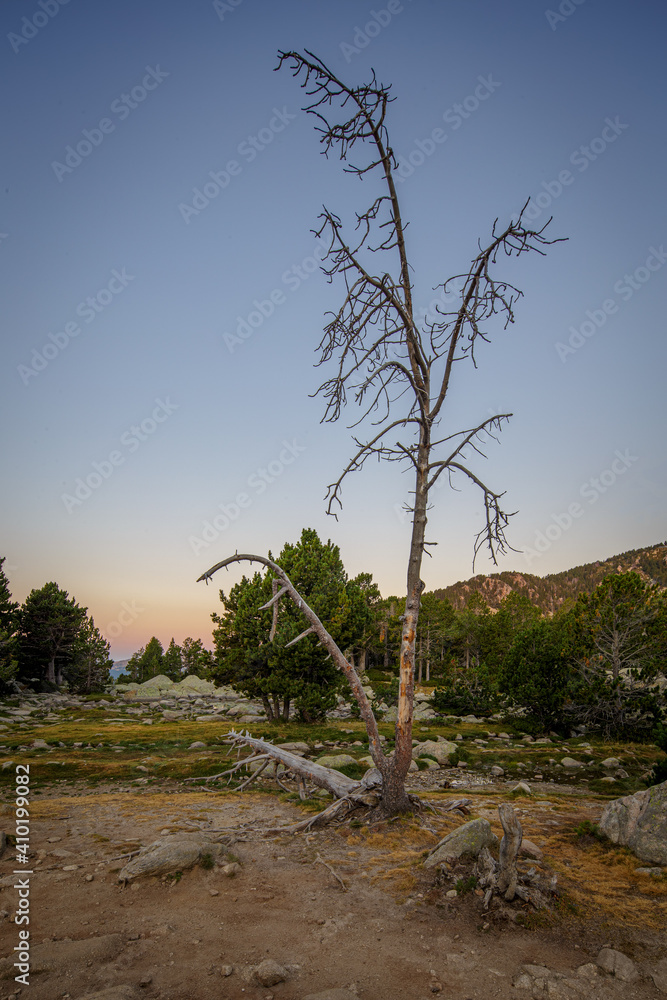 Estany de Malniu