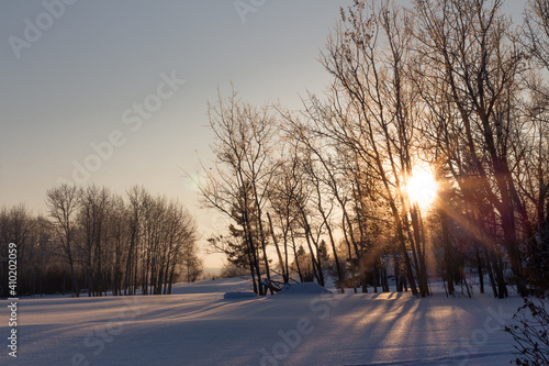 morning sun shining through frost covered trees on snowy field © Kara