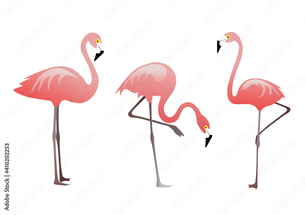 Obraz premium pink flamingos. Vector set. Digital art, elements of design. 