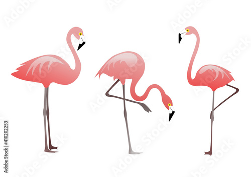pink flamingos. Vector set. Digital art, elements of design.  © Valentyna