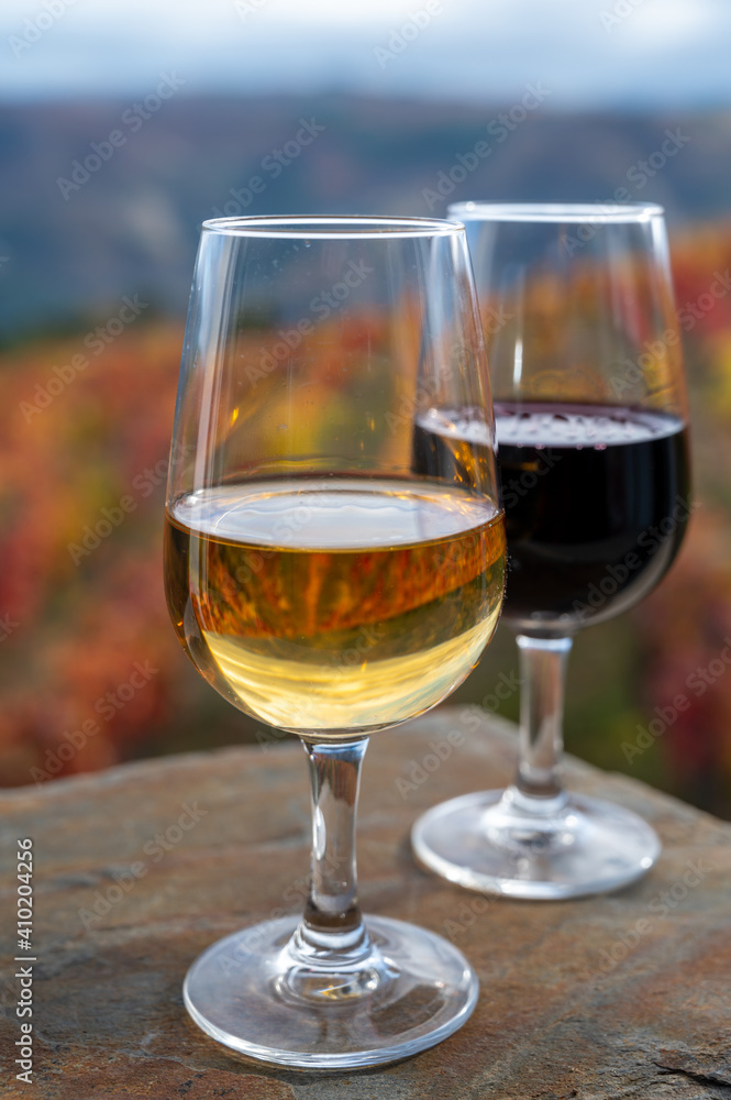 Tasting of Portuguese fortified port wine, produced in Douro Valley with colorful terraced vineyards on background in autumn, Portugal