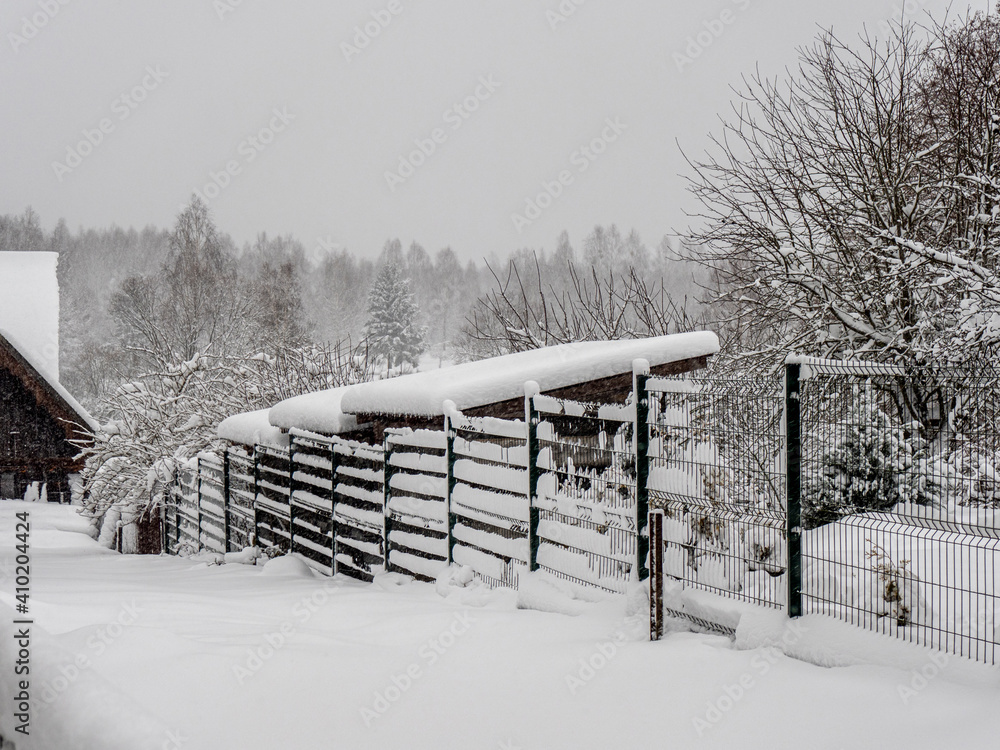 Zimowa sceneria w Puszczy Białowieskiej - obrazy, fototapety, plakaty 