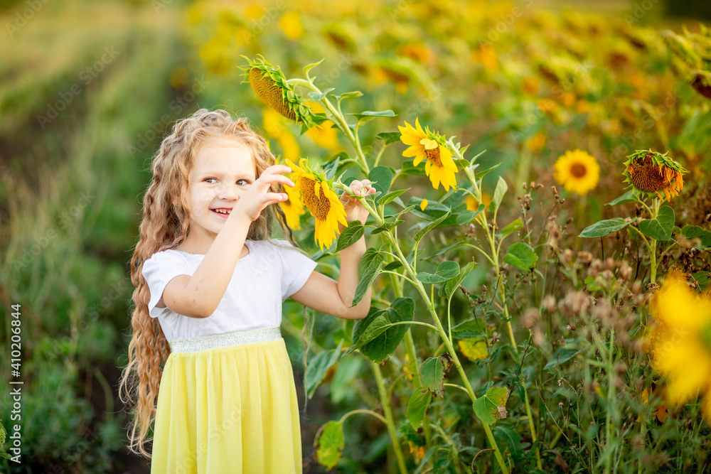 a little beautiful girl holds a sunflower in a field in summer a little beautiful girl holds a sunflower in a field in summer